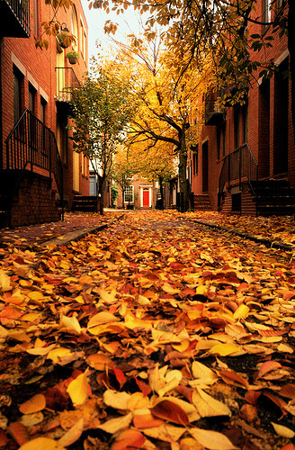 Autumn, Philadelphia, Pennsylvania