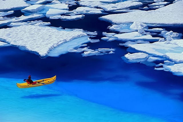 Floating on Blue, Glacier Bay, Alaska