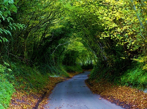 Hobbit Highway, Chiltern, England