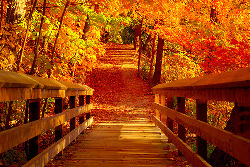 Autumn Bridge, Vermont
