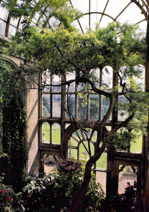 Arched Window, Botanical Garden, Paris