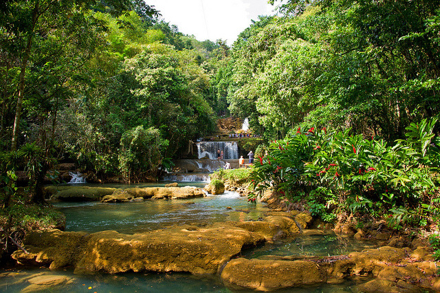 by john b on Flickr.The beautiful YS Falls on Black River located on the south coast of Jamaica near the town of St. Elizabeth. YS Falls is one of the most secluded and beautiful spots in Jamaica.