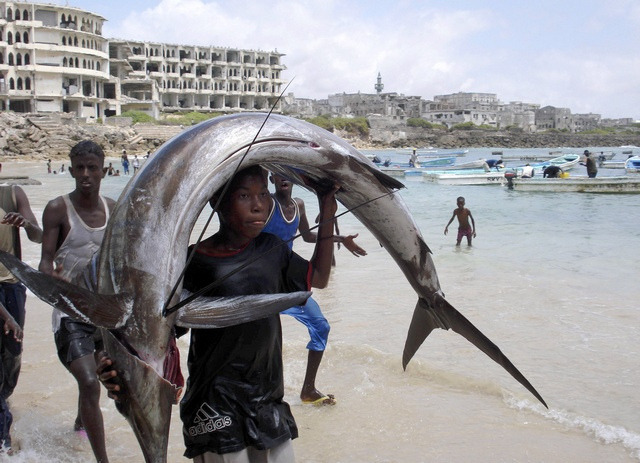 by Yasin Osman on Flickr.Fishing capture - Mogadishu, Somalia.