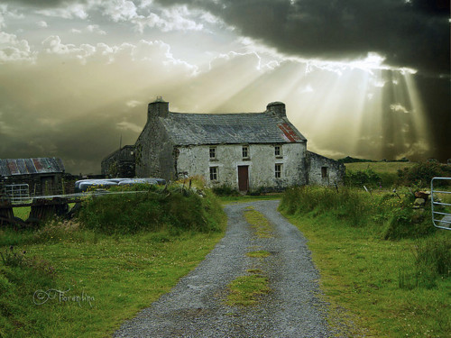Ancient Cottage, Ireland