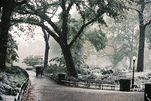Snowy Day, New York City