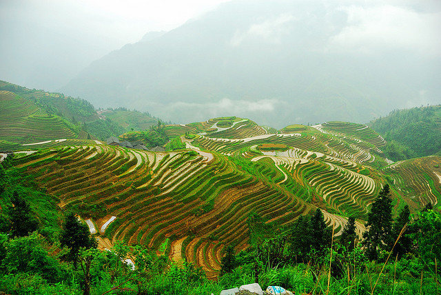 by J Chau on Flickr.Longji Terraces near Pingan Village - Guilin Province, China.