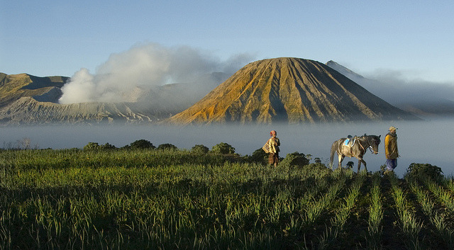 by ngchongkin on Flickr.Starting a new day in Mt. Bromo National Park, Indonesia.