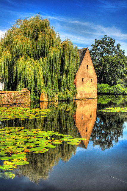 Weeping Willow Pond, Bruges, Belgium