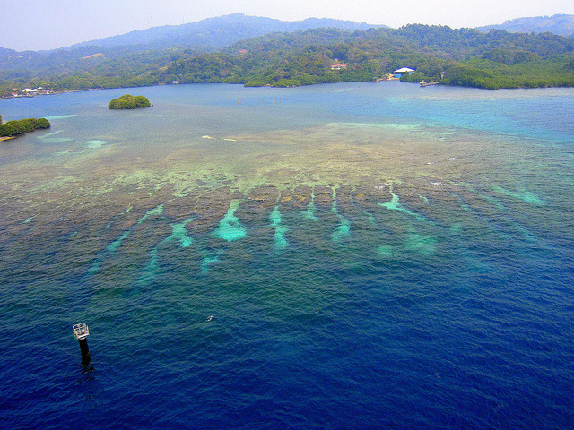 Coral reefs near Roatan island in Honduras