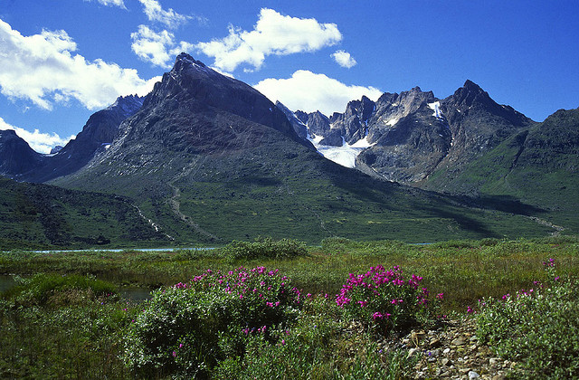 Paradise in southern Greenland. Qinngua Valley
