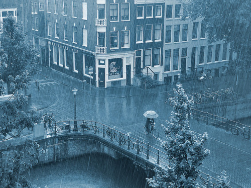 Spring Rain, Amsterdam, The Netherlands