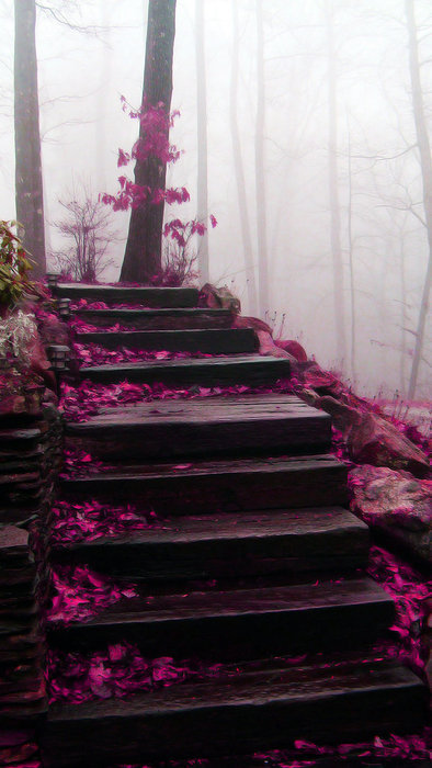Mystical Stairs, Blue Ridge Mountains, North Carolina