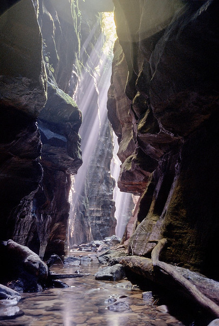 Claustral Canyon in Blue Mountains, New South Wales, Australia