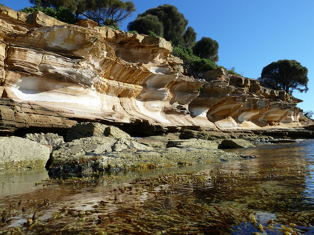 Painted Cliffs at low tide on Maria island, Tasmania, Australia