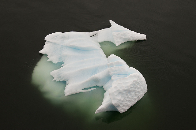 Dragon iceberg on Gerlache Strait, Antarctica