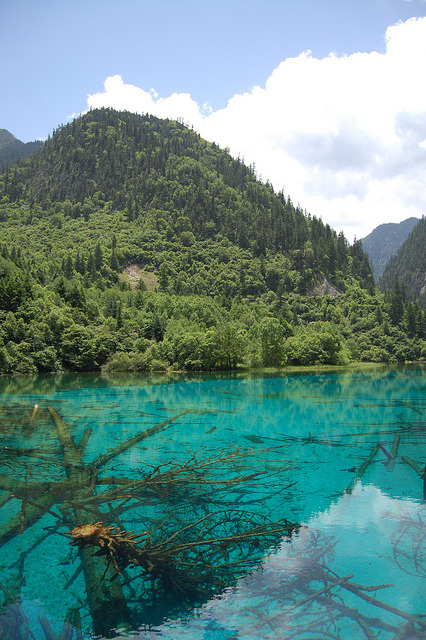 Magical colours at Five Flower Lake in Jiuzhaigou Valley, Sichuan, China