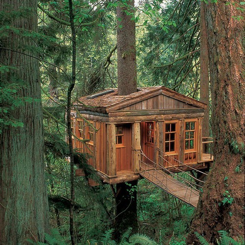 Blue Moon Treehouse, Issaquah, Washington