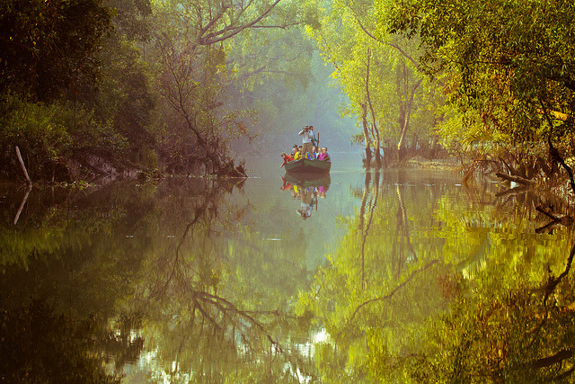 Exploring Sundarbans Mangrove Forest in Bangladesh