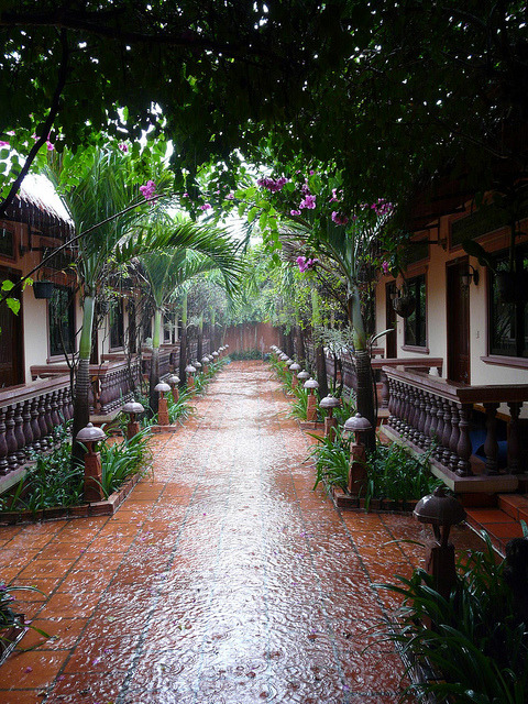 Tropical rain at The Lotus Lodge, Siem Reap, Cambodia