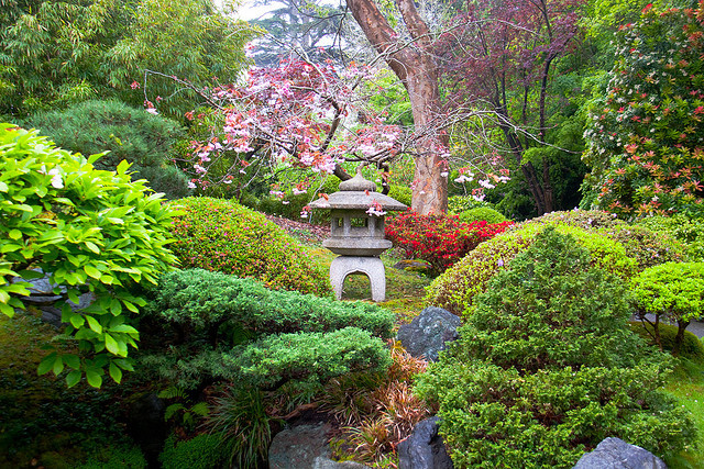 Japanese Gardens in San Francisco Botanical Garden, California, USA