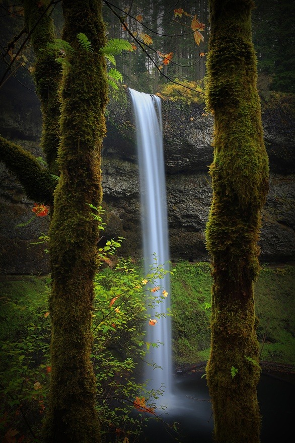 Framed Waterfall,  Silverton, Oregon