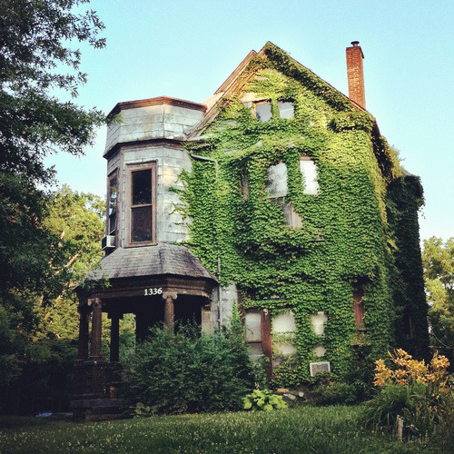 Ivy House, The Highlands, Louisville, Kentucky