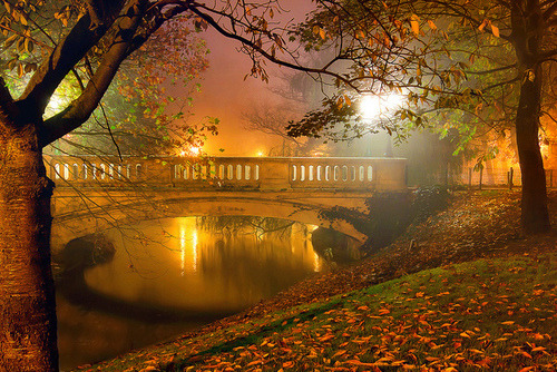 Autumn Fog, West-Vlaanderen, Belgium