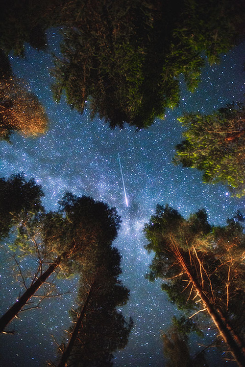 Shooting Star, Sweden