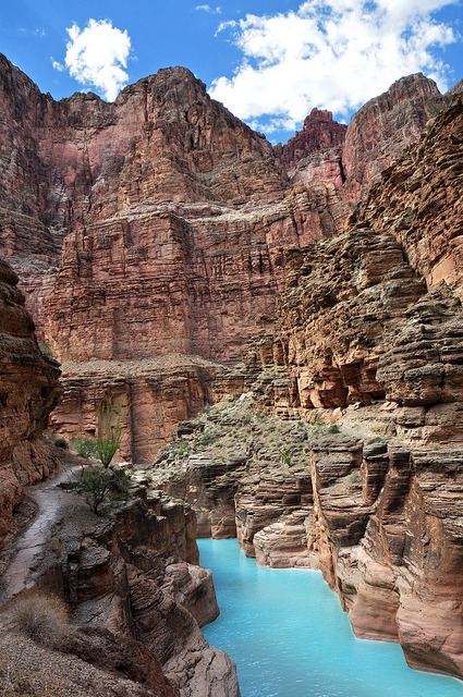 Striking blue water of Havasu Creek in Grand Canyon, USA