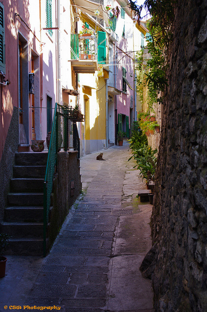 Narrow street in Porto Venere, Liguria, Italy