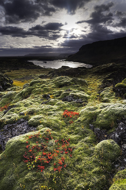 Autumn Colors, Iceland