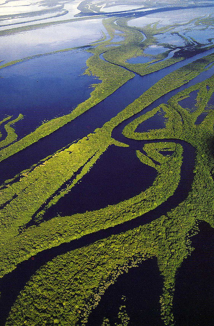 The Archipelago of the Anavilhanas in the Amazon Rainforest, Brazil