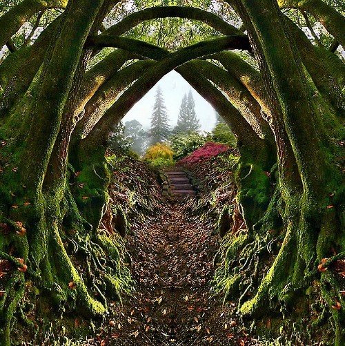 Garden Entrance, Redwood Regional Park, Oakland, California