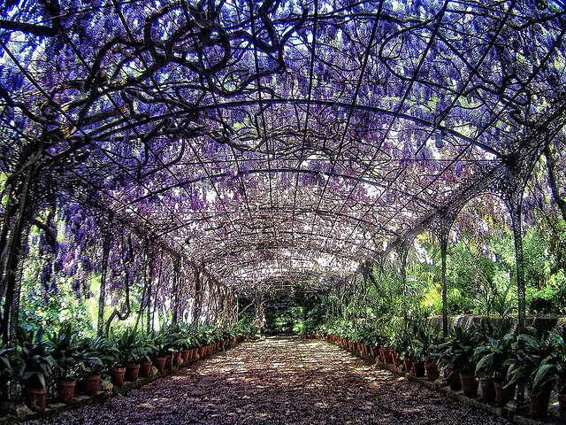 Jardin Botanico de Malaga, Andalusia, Spain