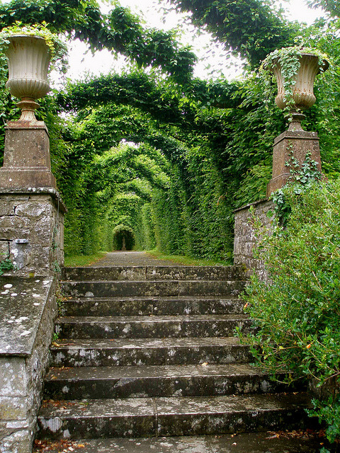 Birr Castle Gardens in Co. Offaly, Ireland