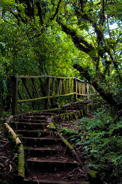 Hiking trail in Mombacho Cloud Forest, Nicaragua