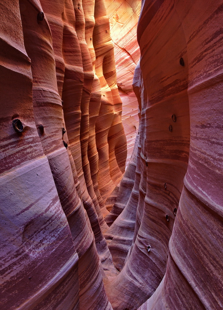 Zebra Slot Canyon in the Grand Staircase-Escalante National Monument, Utah