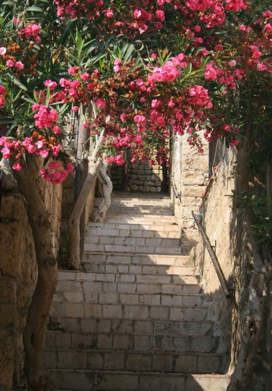 On the ancient streets of Byblos, northern Lebanon