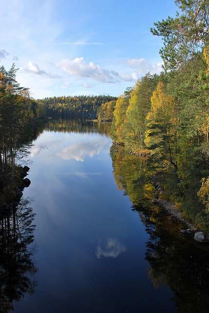 Calm waters in Repovesi National Park, Finland