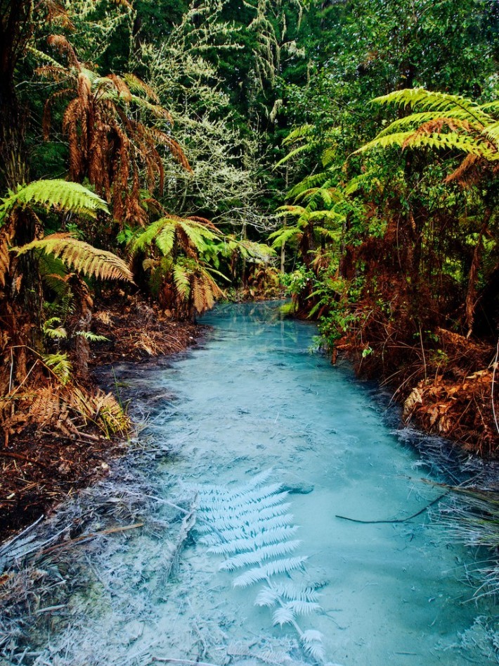 Clear thermal stream in Whakarewarewa Redwoods Forest, Rotorua / New Zealand