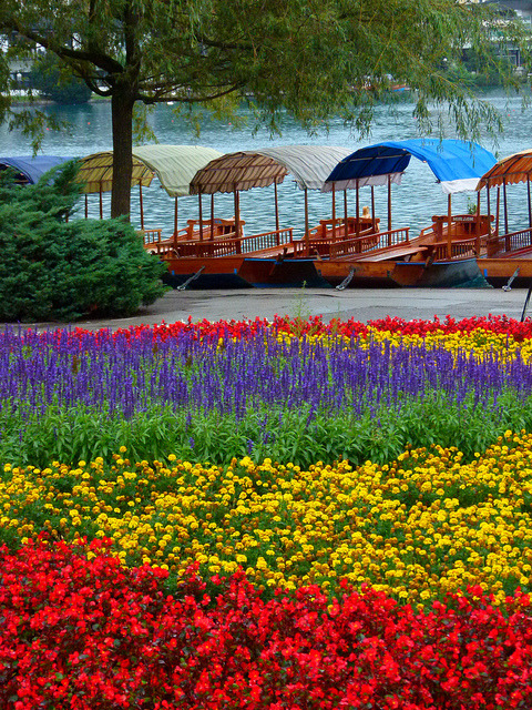 Display of colors on the shores of Lake Bled / Slovenia