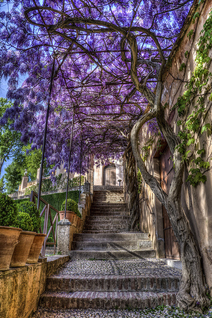 Stairway in the beautiful Generalife Gardens, Granada / Spain